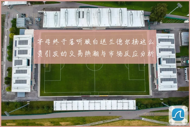 字母终于落听狼白送兰德尔杨这么贵引发的交易热潮与市场反应分析
